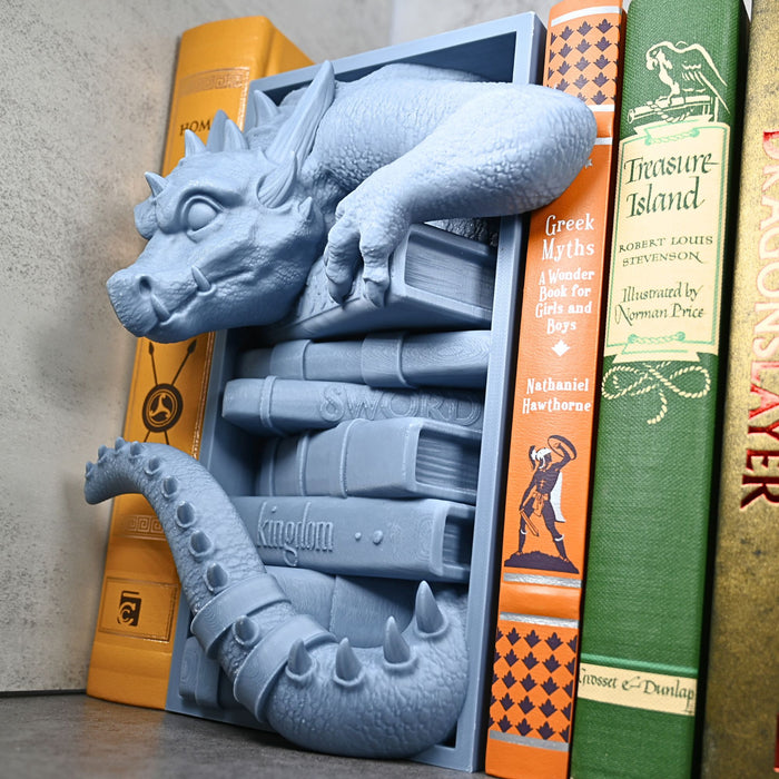 Library Dragon Book Nook