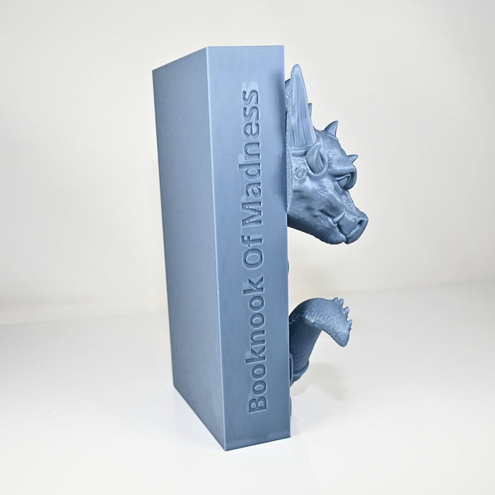 Library Dragon Book Nook