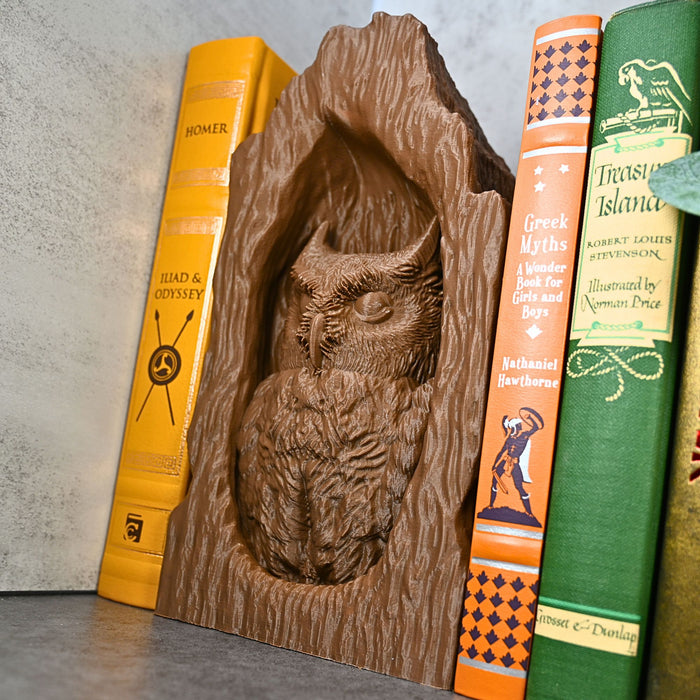 Tree Owl Book Nook