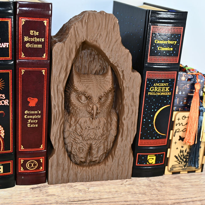 Tree Owl Book Nook