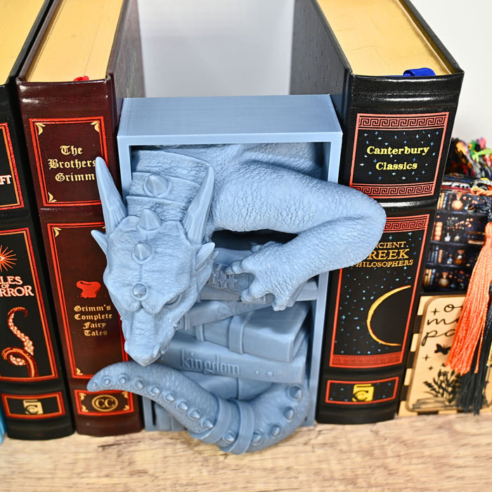 Library Dragon Book Nook