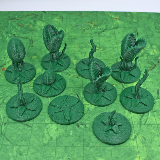 Dnd scatter terrain Killer Plants for tabletop wargaming-Scatter Terrain-Fat Dragon Games- GriffonCo Shoppe